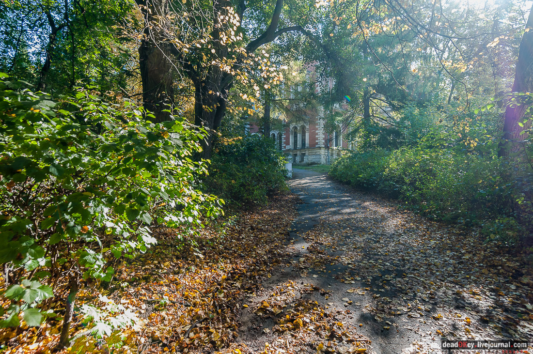 усадьба Быково, конференция - Проблемы восстановления усадьбы «Быково