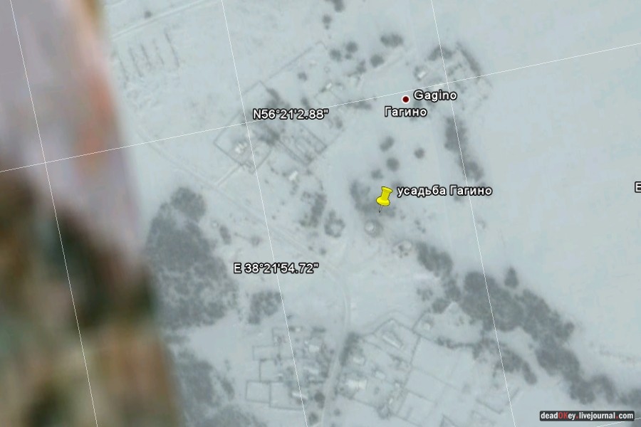 усадьба Гагино