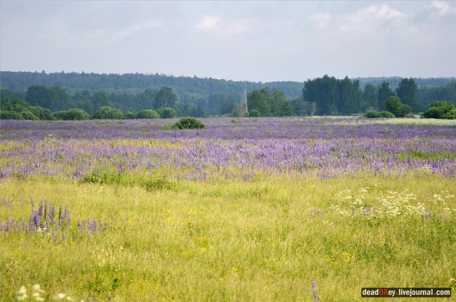 усадьба Завалино