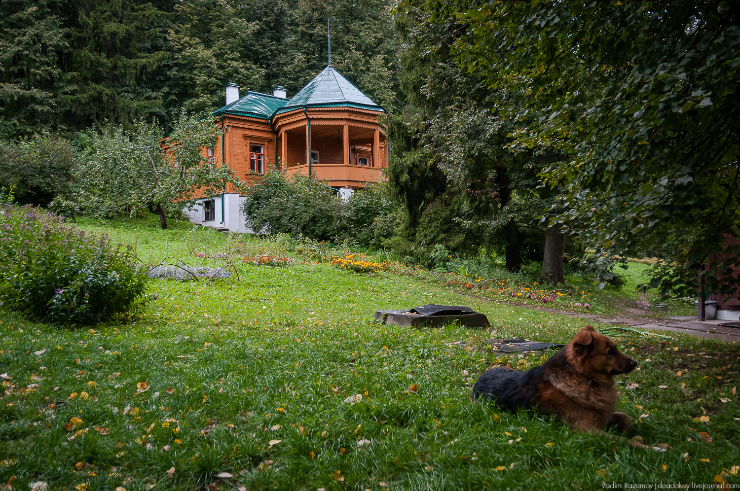 усадьба Дунино, дача Пришвина
