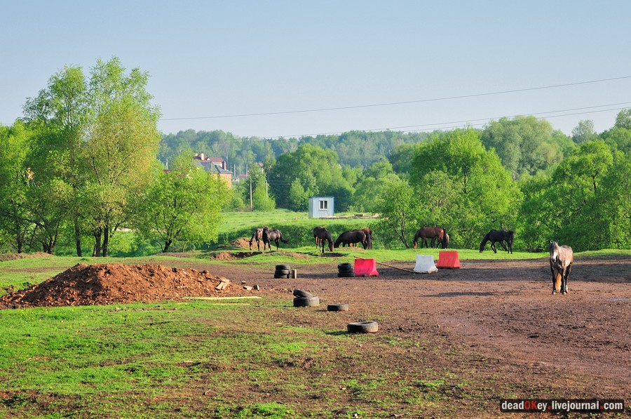 усадьба Прохорово