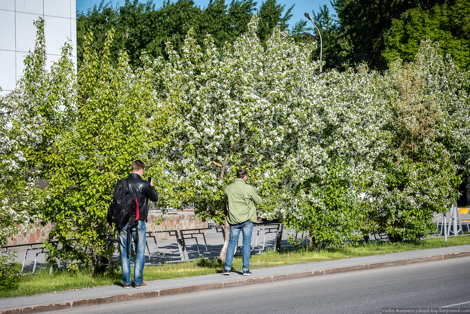 Усадьбы и наличники Тюмени