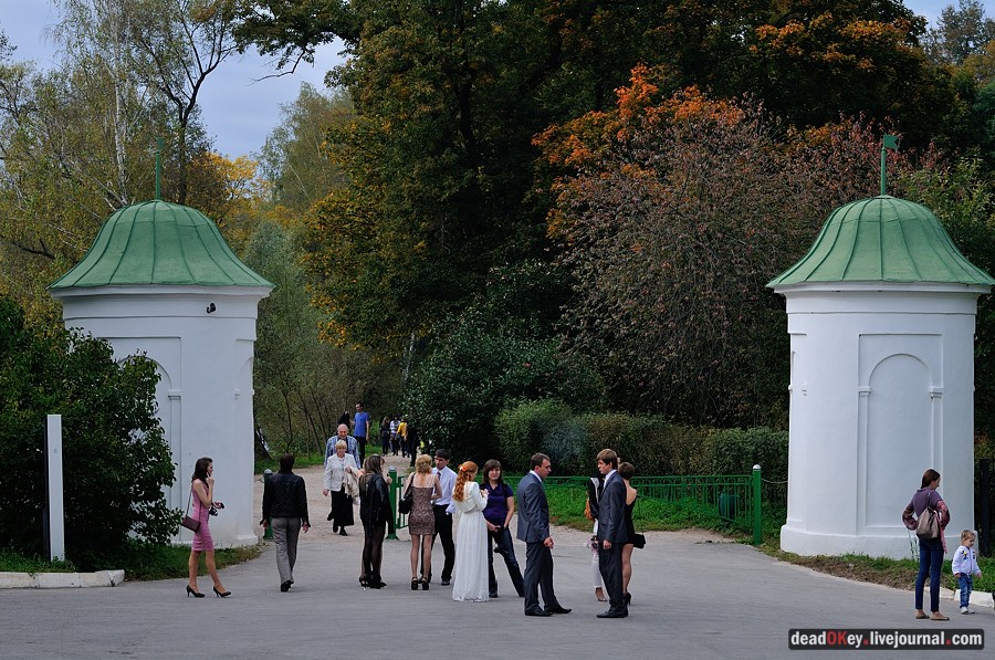 усадьба Ясная Поляна