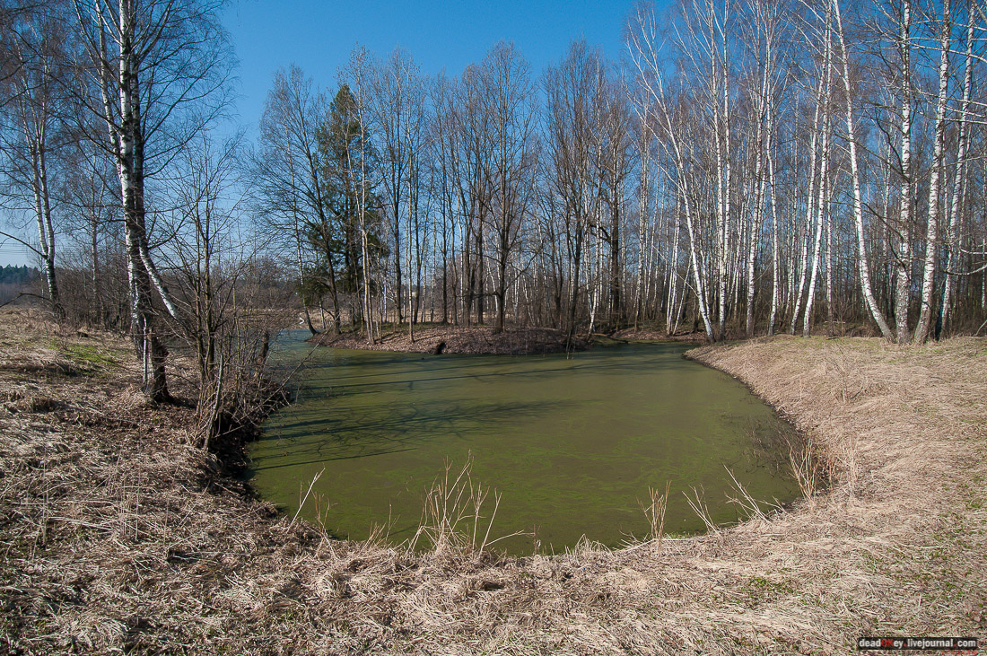 усадьба Савинское (исследование масонского парка)