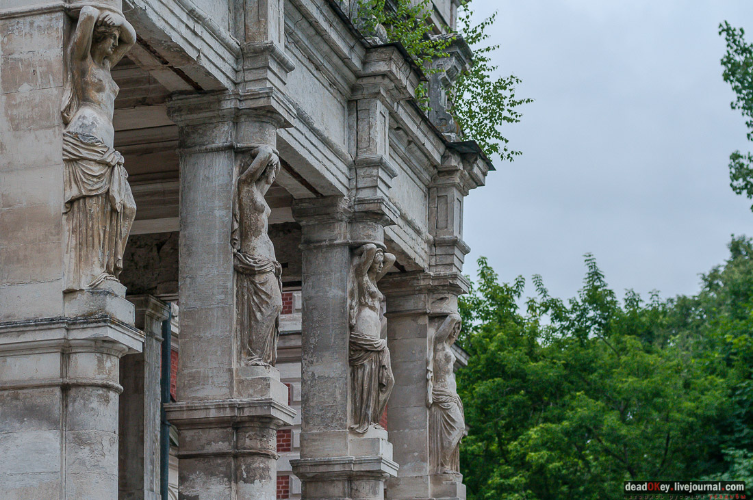 усадьба Быково, пресс-релиз встречи волонтеров