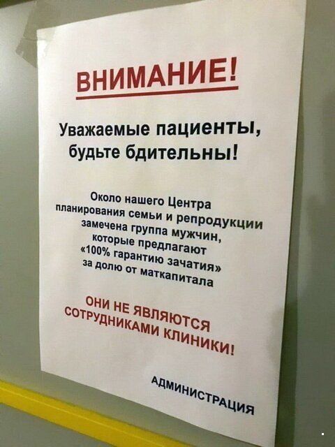 Перлы - 314 головы, Таблетка, канале, Гражданин, диване, Заряжаемся, информацию, будут, жизни, ситуации, прикольные, всяческие, ТикТоке, читаем, интересную, познавательную, хорошим, околополитические, обсуждаем, языком