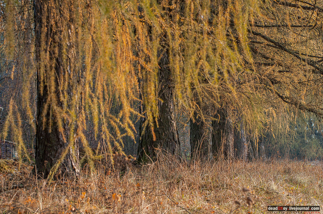 Усадьба Филатово