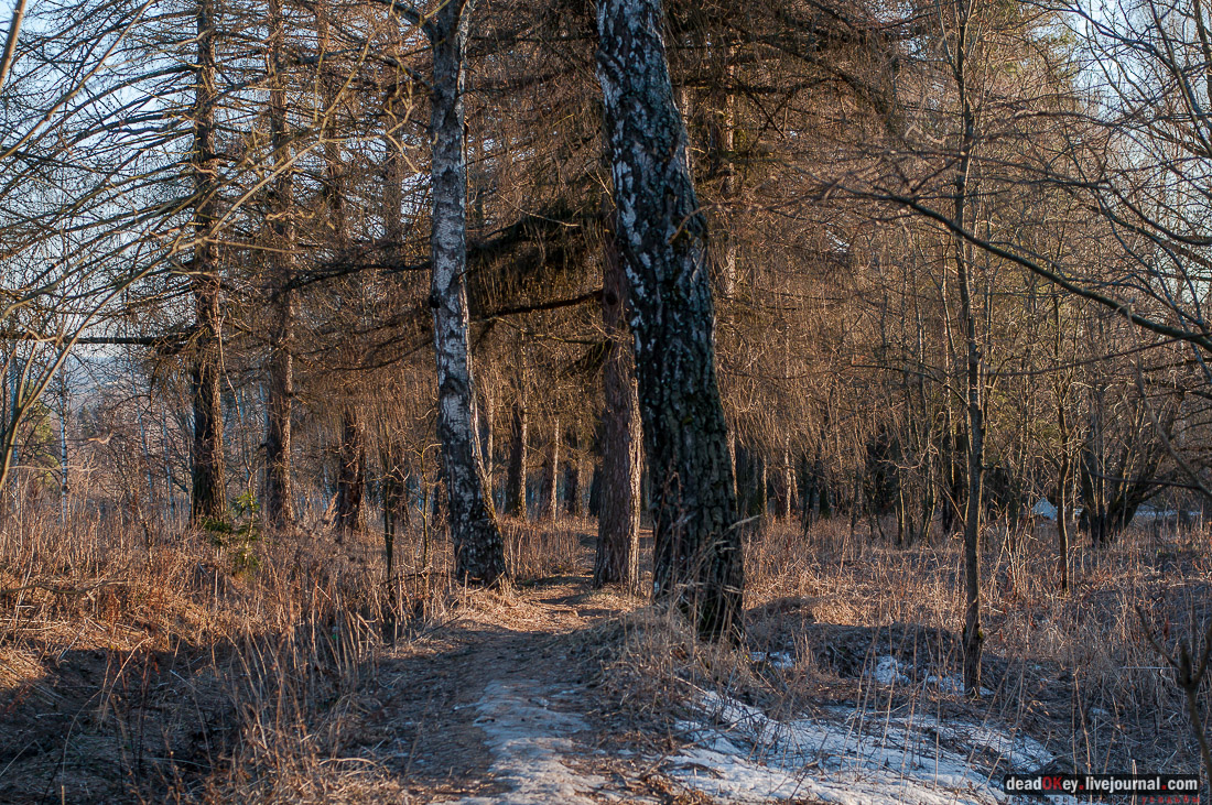 вокзал Рдултовского в Трехселище