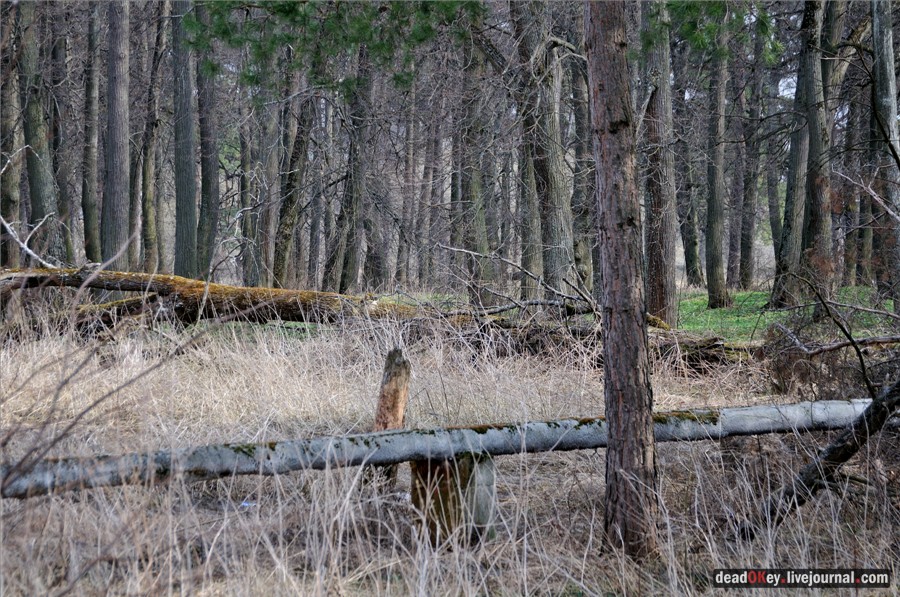 усадьба Грабцево