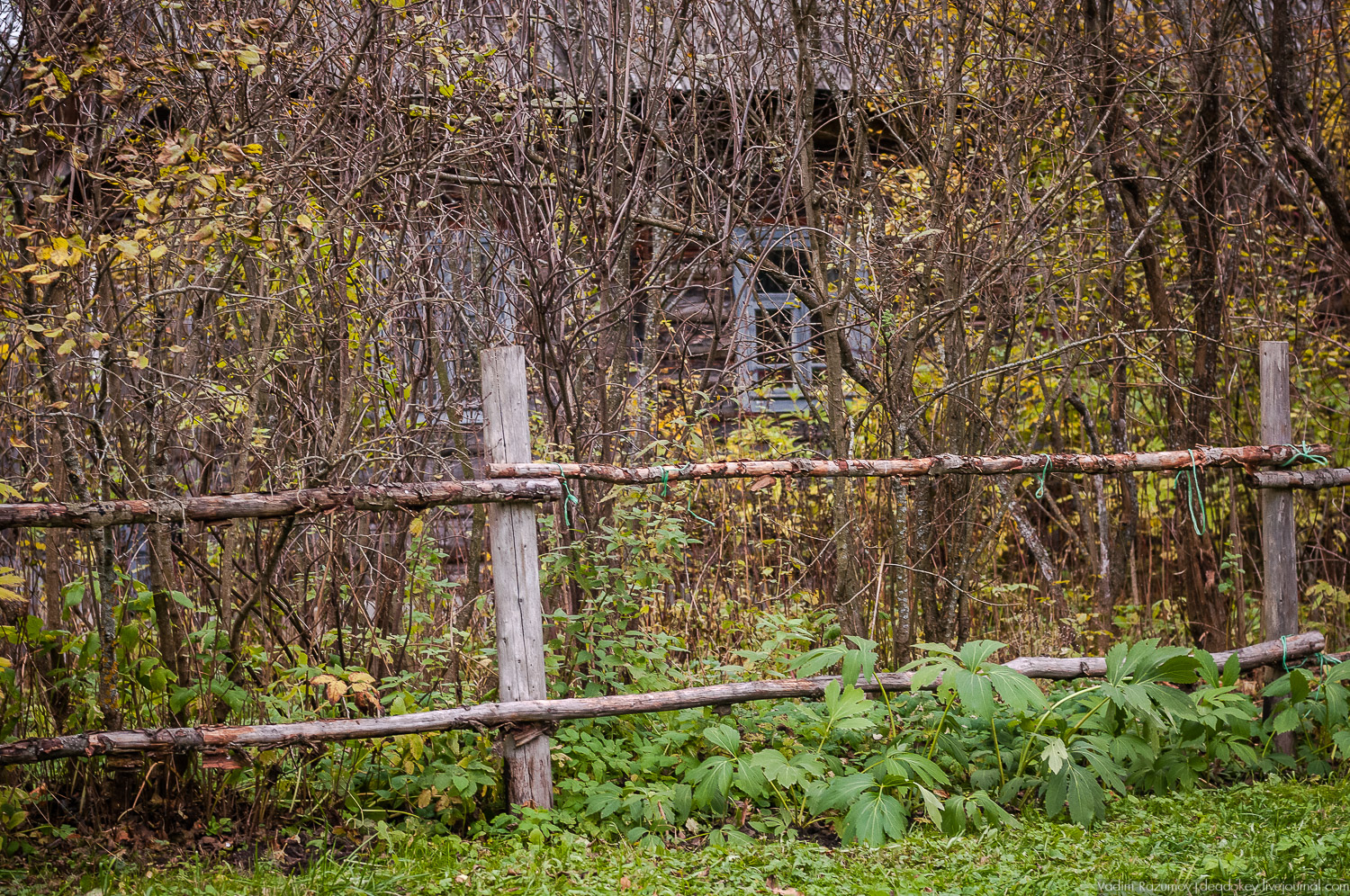 усадьба Шахматово А.А. Блока, Солнечногорский район