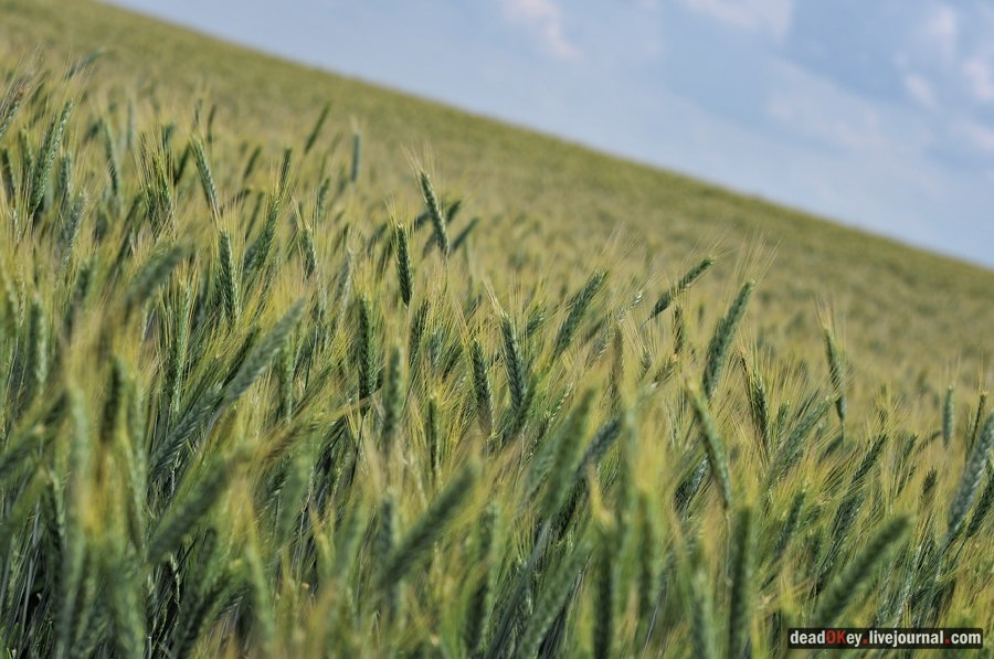 усадьба Подолец