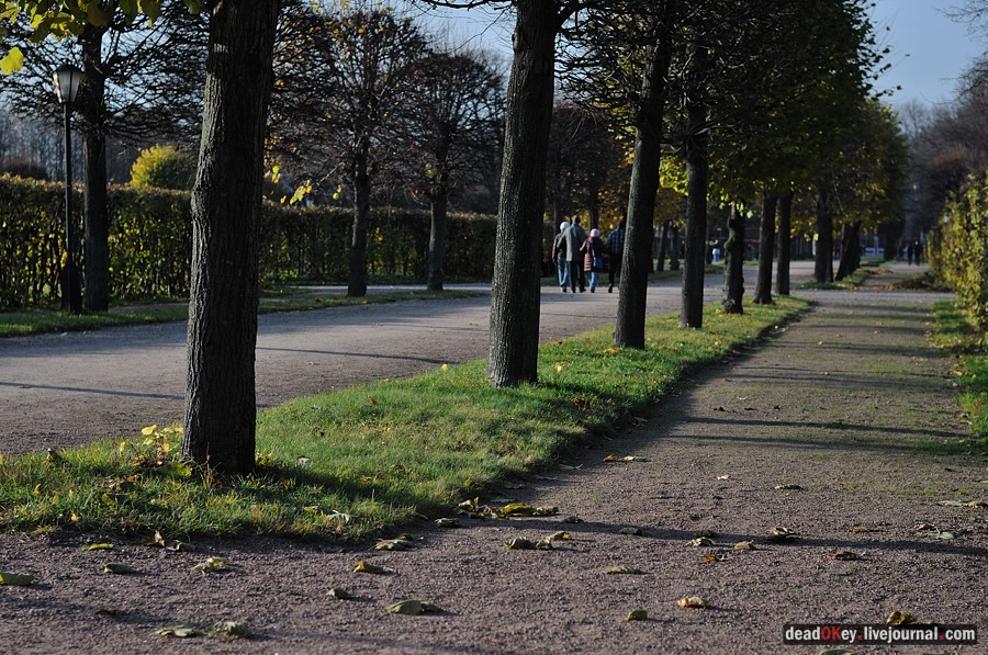 усадьба Кусково