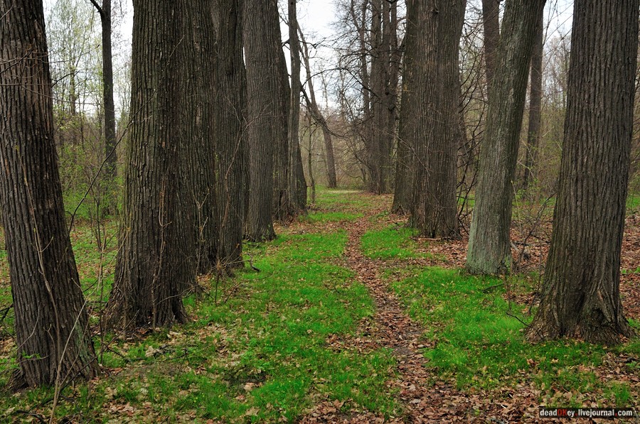 усадьба Антипино