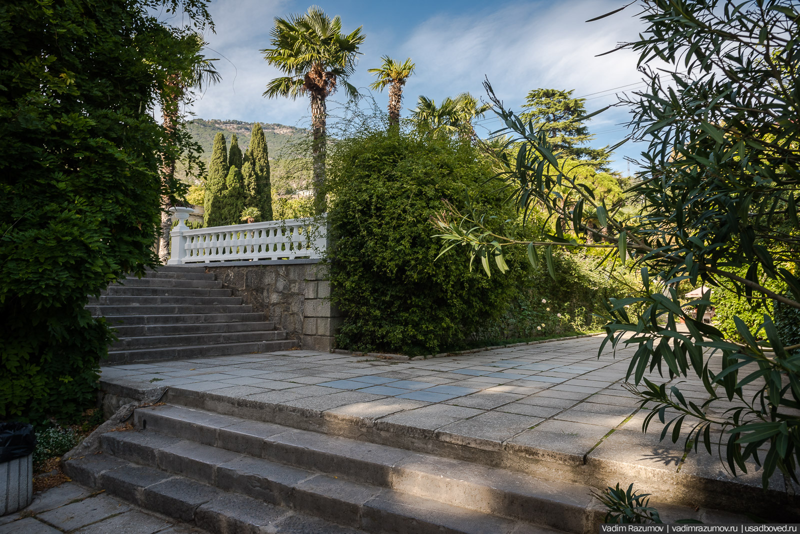 Никитский ботанический сад