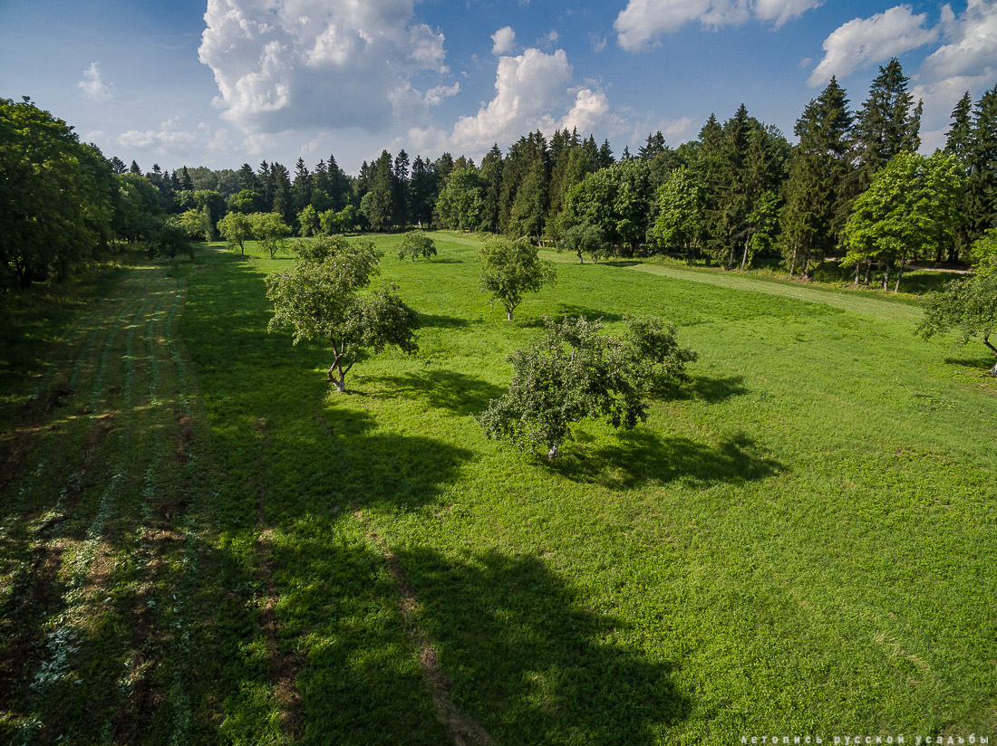 усадьба Степановское-Волосово, фотографии с дрона, шетлендский пони Трамп