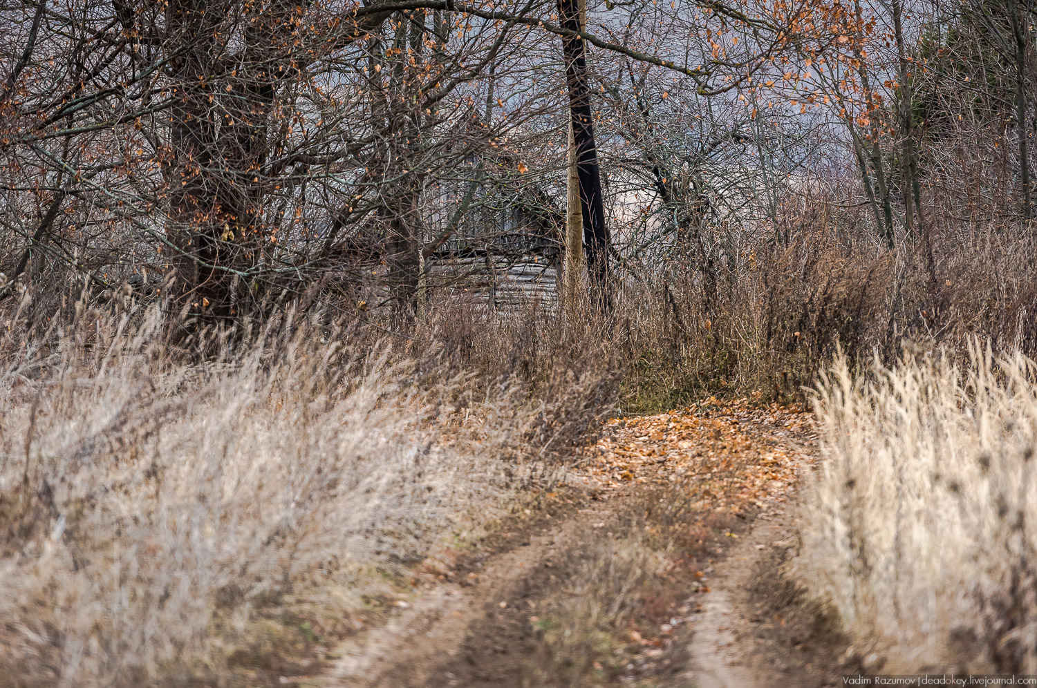усадьба Горки, Заразы, Тульская область, церковь Михаила Архангела
