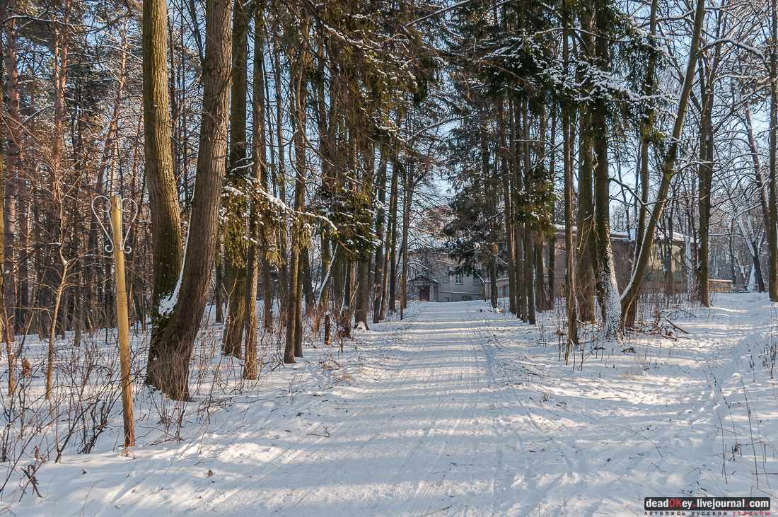 усадьба Васькино