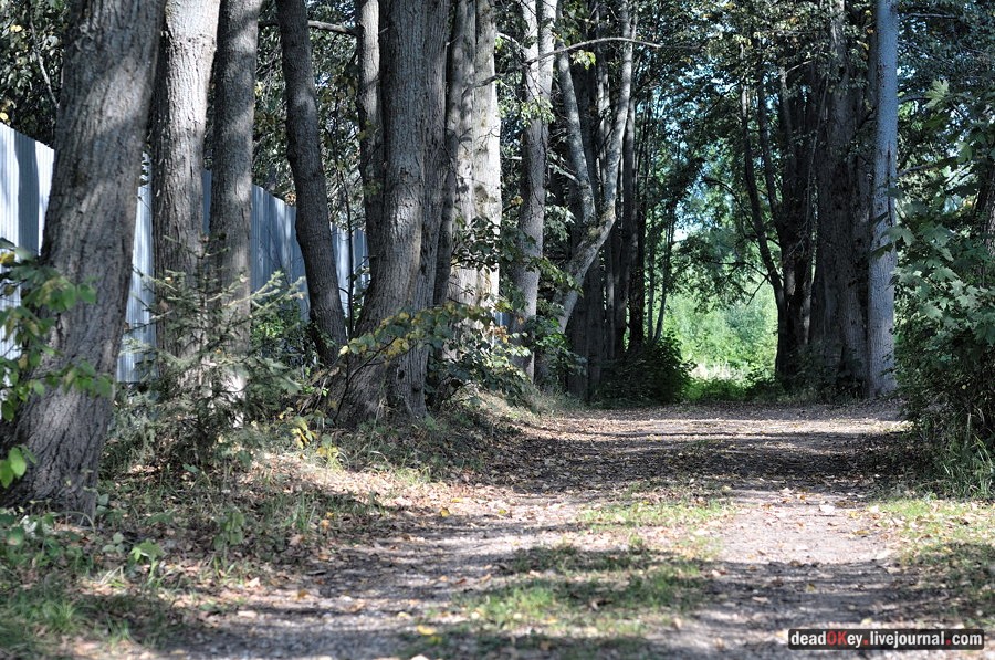 усадьба Хомяково