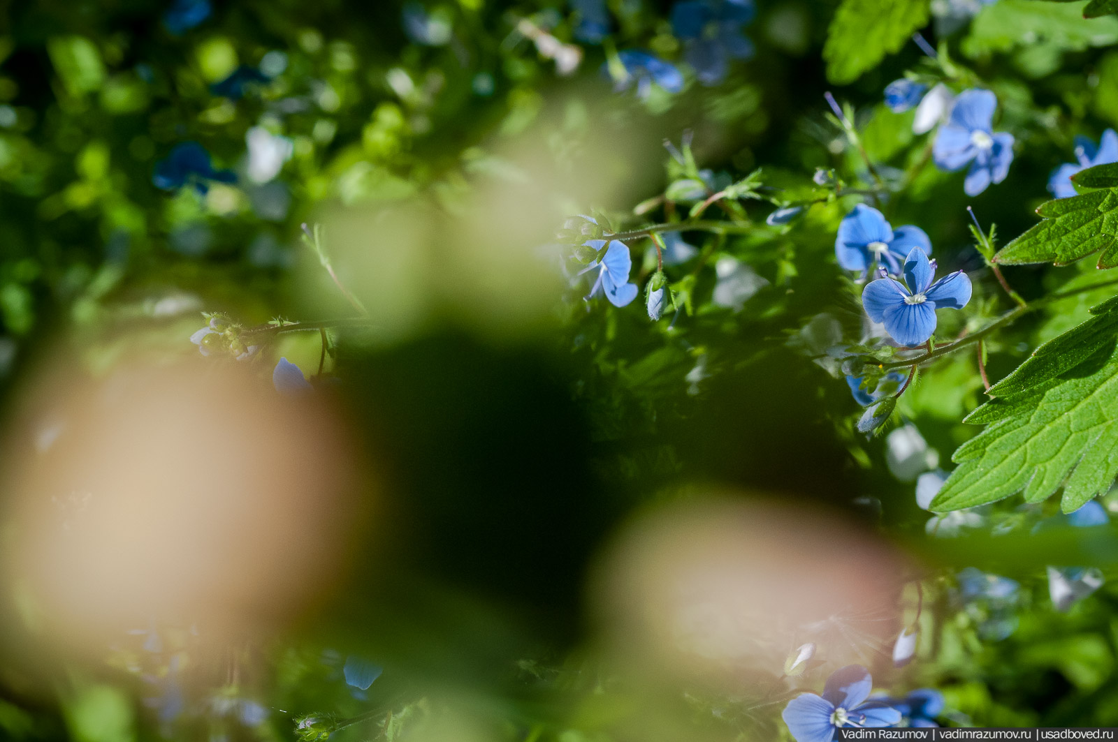 усадьба Дворяниново, Андрей Тимофеевич Болотов, Тульская область