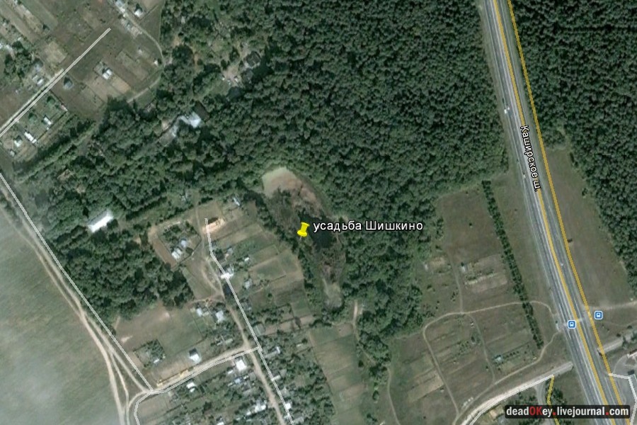 усадьба Шишкино