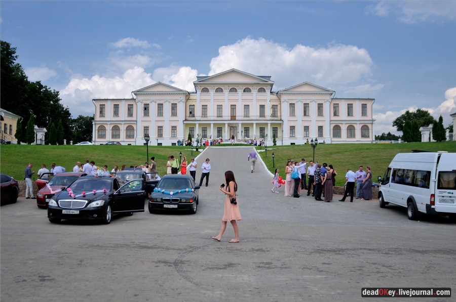 усадьба Дубровицы