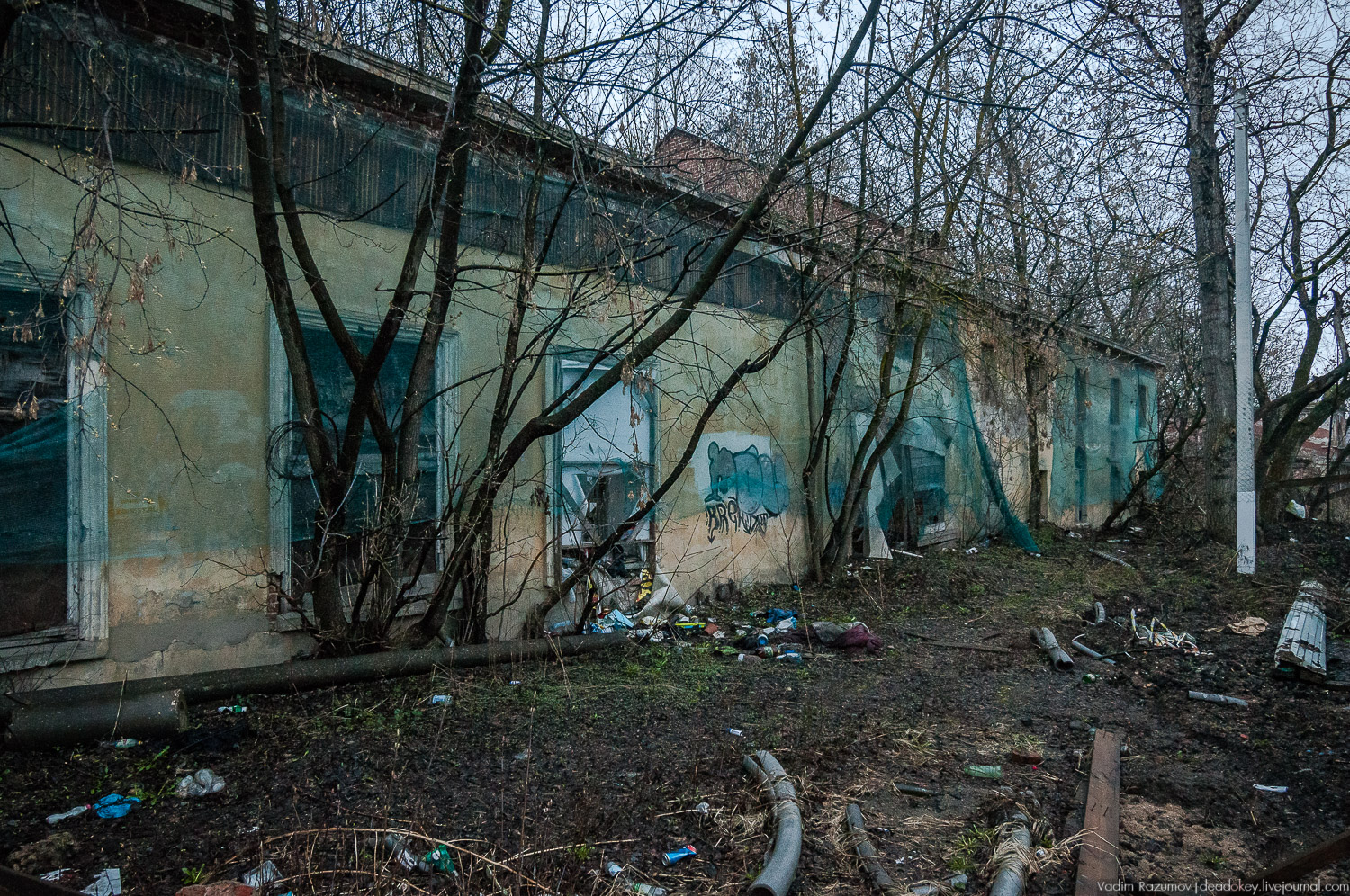 усадьба Петрово (Дурнево, Петрово-Дальнее), Красногорский район, Московская область