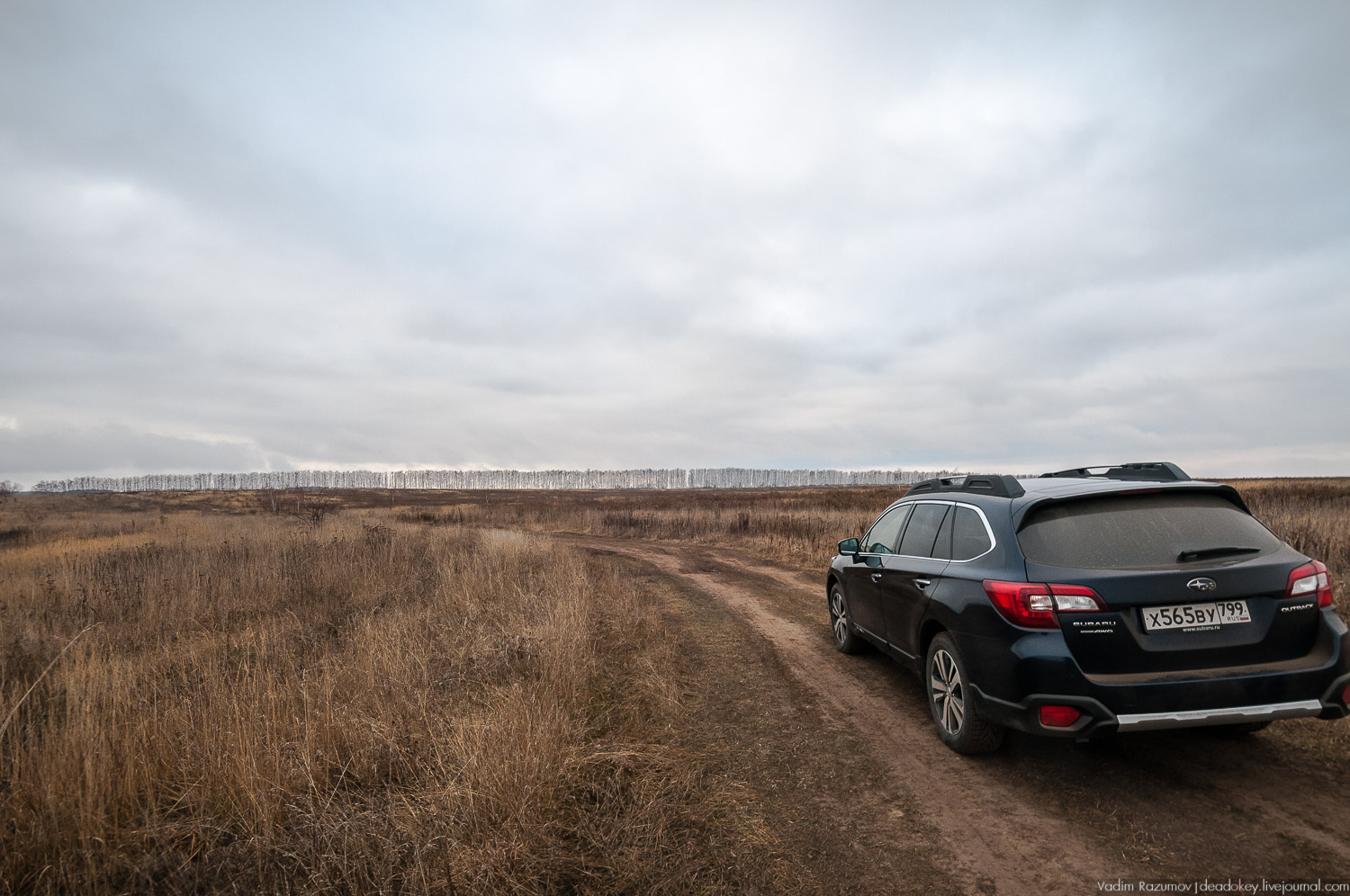 усадьба Горки, Заразы, Тульская область, церковь Михаила Архангела
