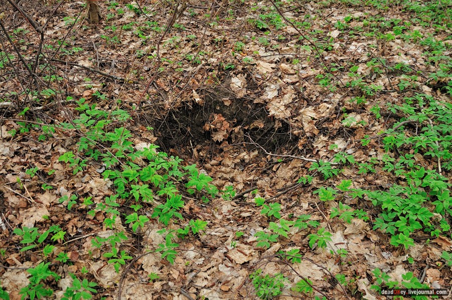 усадьба Антипино