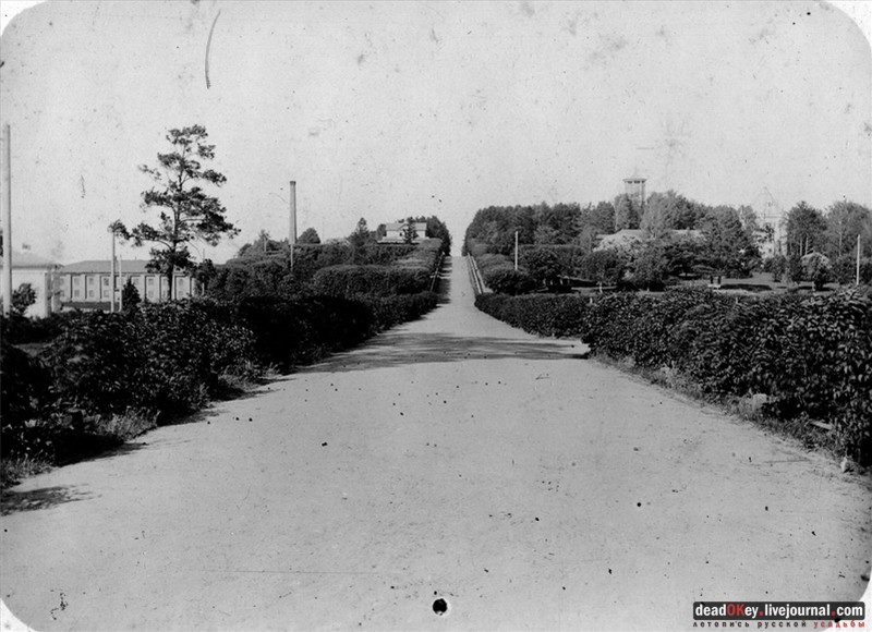 усадьба Лучки