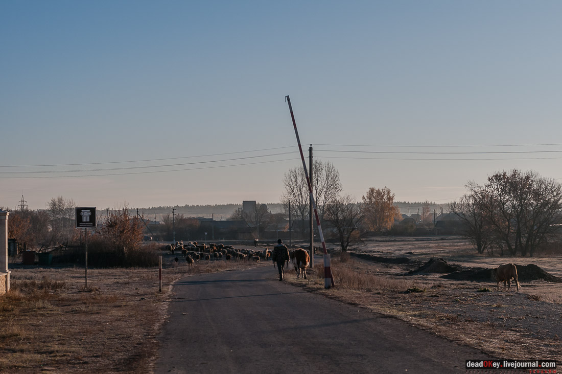Скорняково-Архангельское