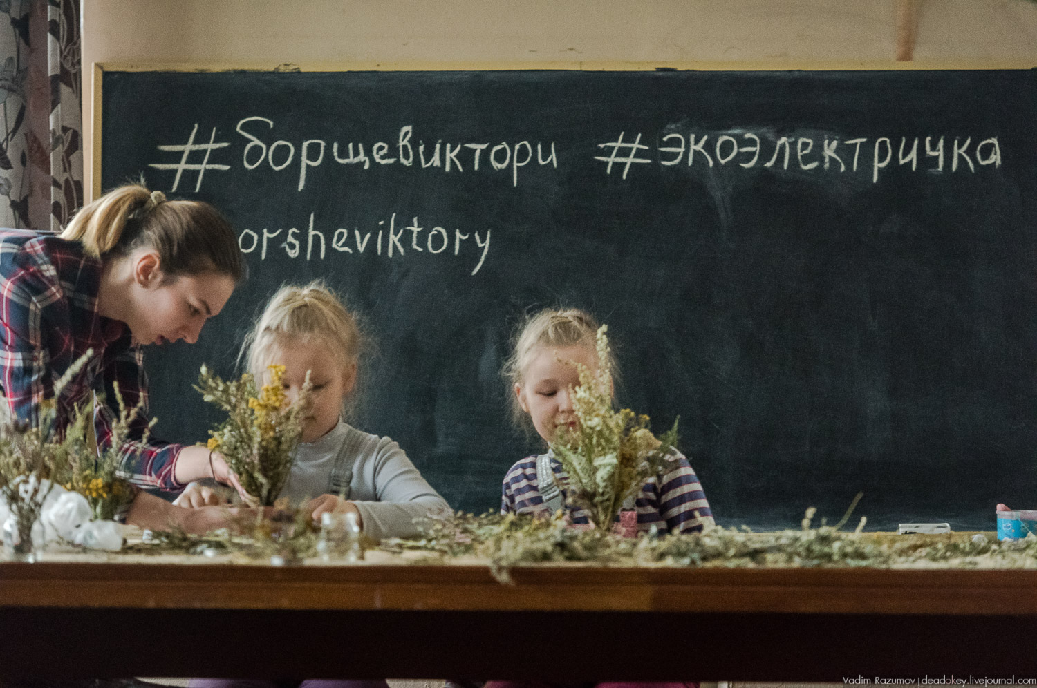 Ботанический сад, фондовая оранжерея, Экоэлектричка, борщевик