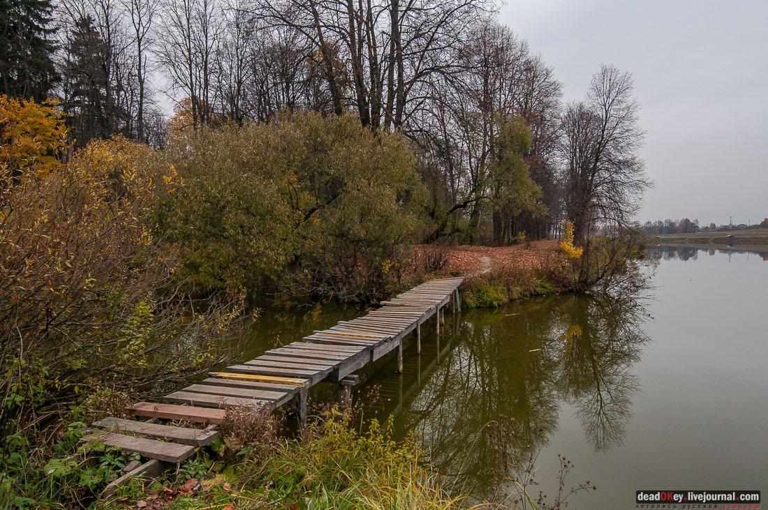 Усадьба Молоди