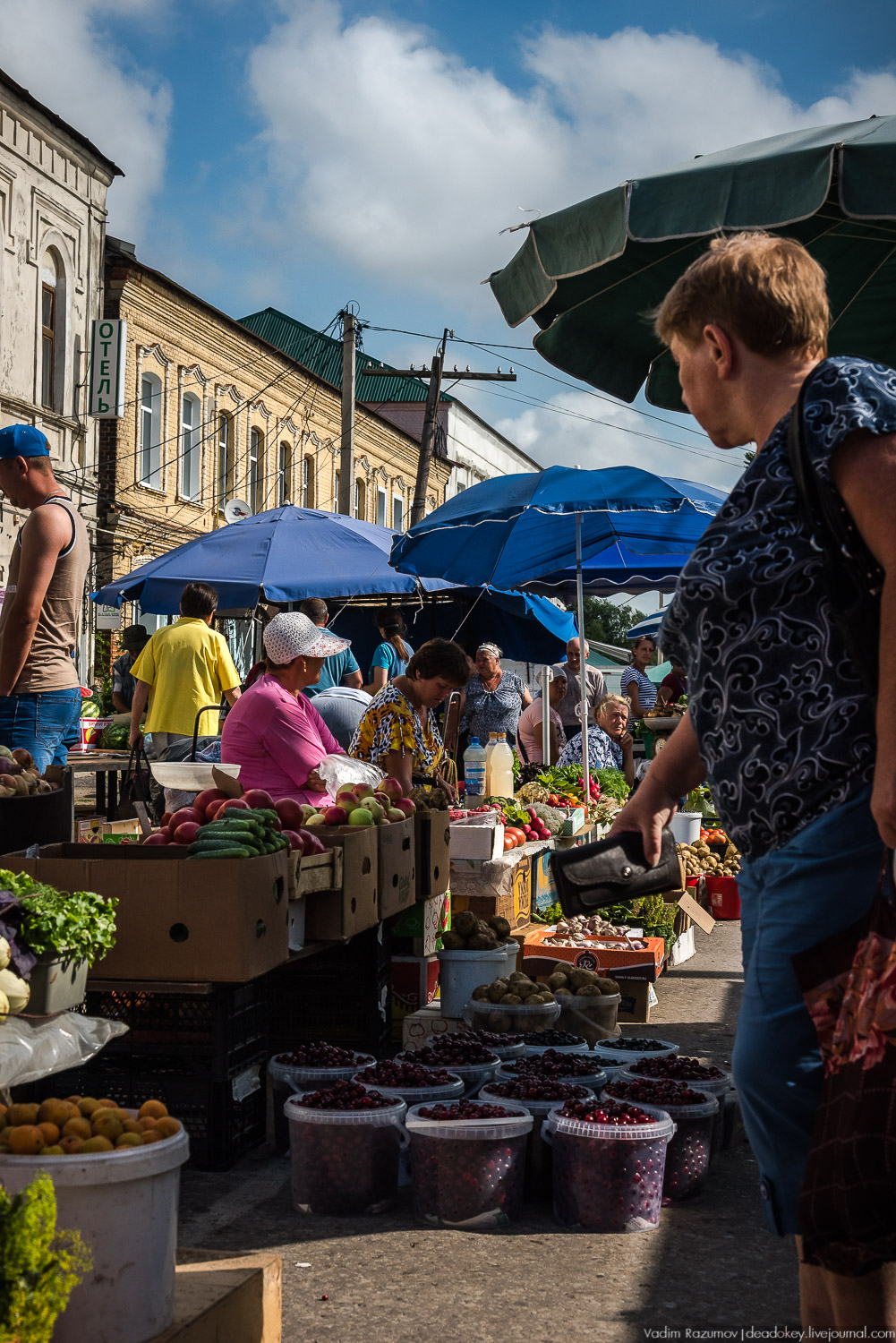 Липецкие усадьбы, Баловнево, Полибино, путешествие, экскурсия Усадебный экспресс