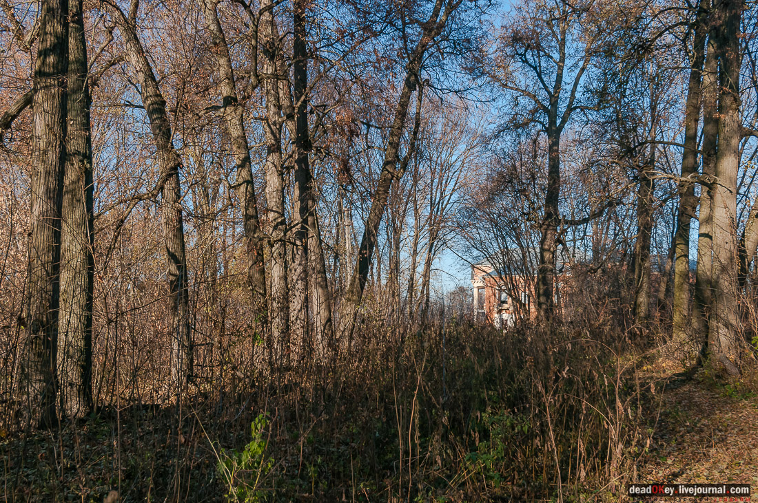 усадьба Полибино