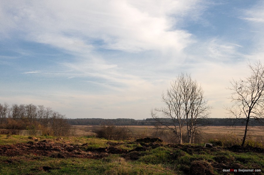 усадьба Бережки