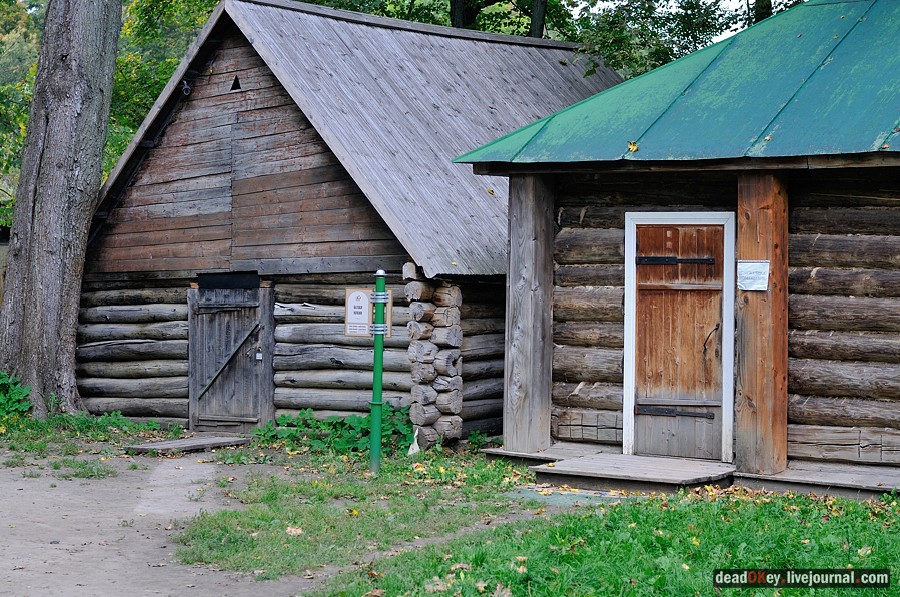 усадьба Ясная Поляна