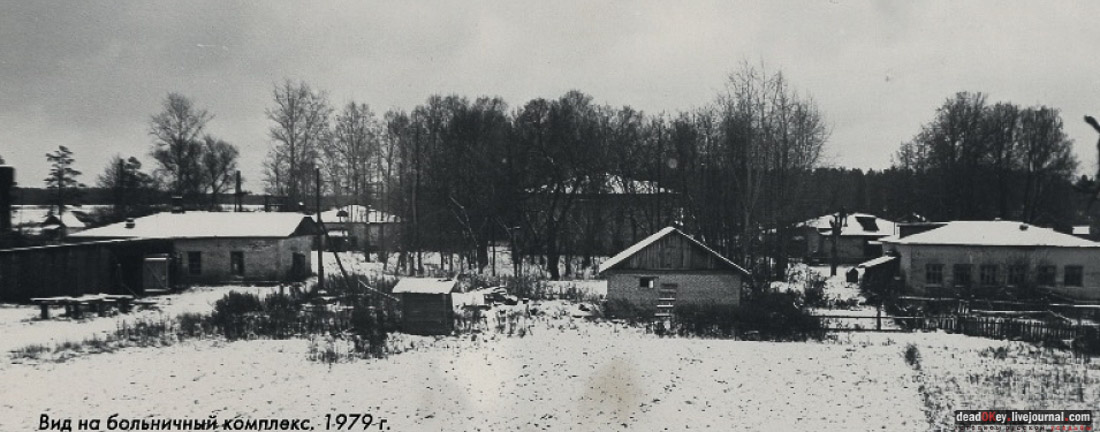 усадьба Гребнево, больничный комплекс