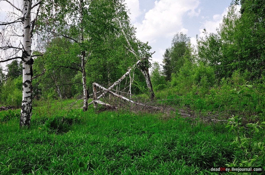усадьба Спасское