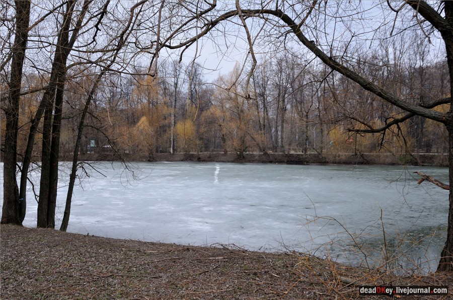 усадьба Кузьминки