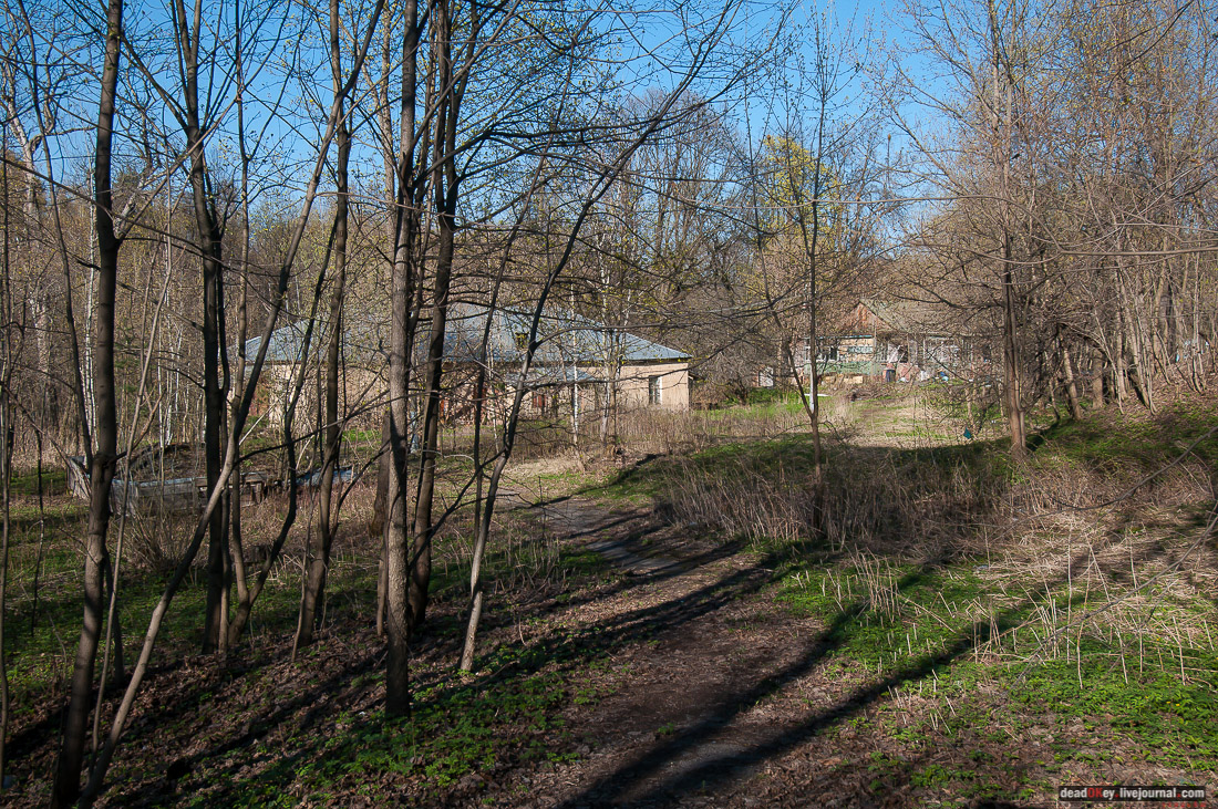 усадьба Чижово, Балашихинский район