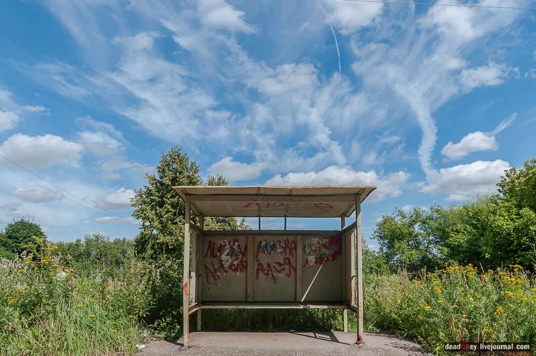 усадьба Васильевское Повалишиных