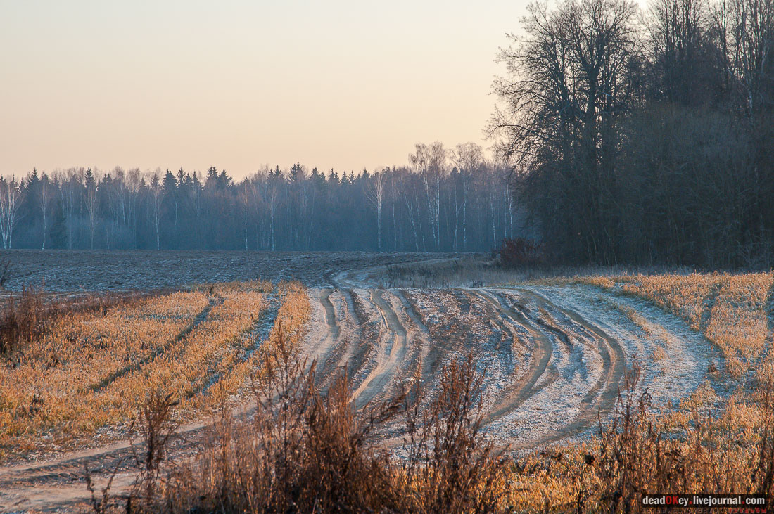 Усадьба Софрино