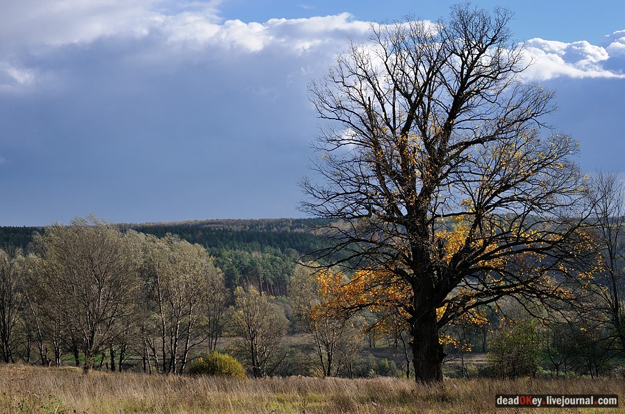 усадьба Авчурино