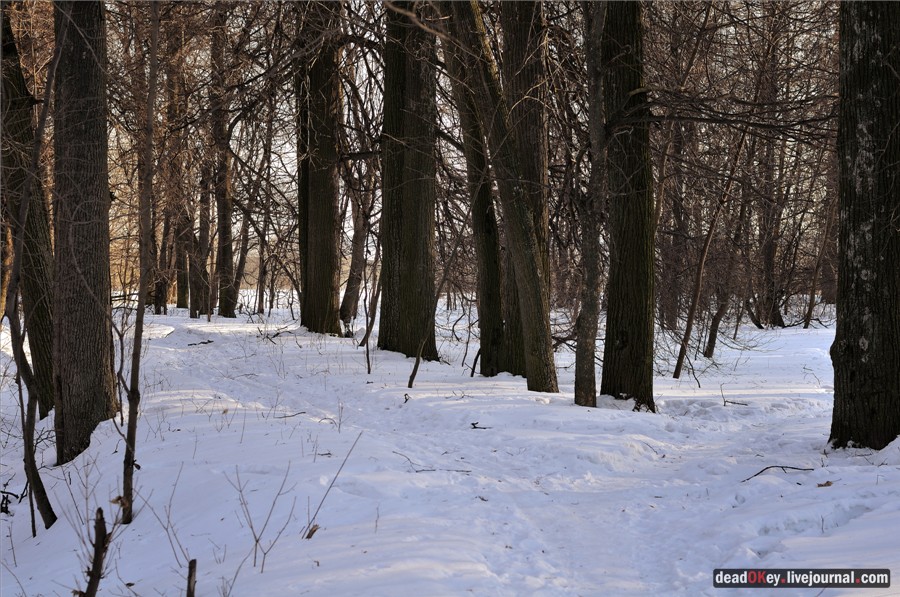 усадьба Федино