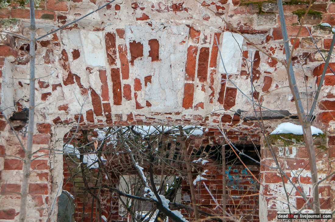 усадьба Гребнево, больничный комплекс