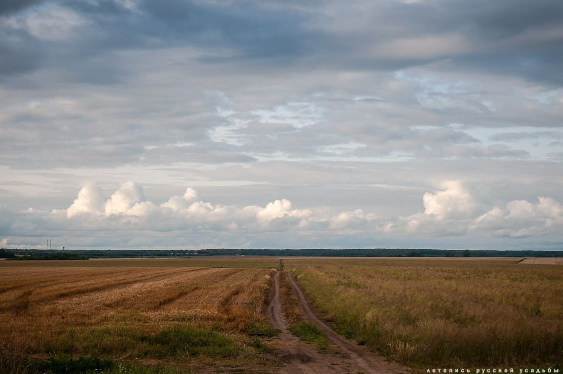 Экоэлектричка на родину журавлей в Талдомский район