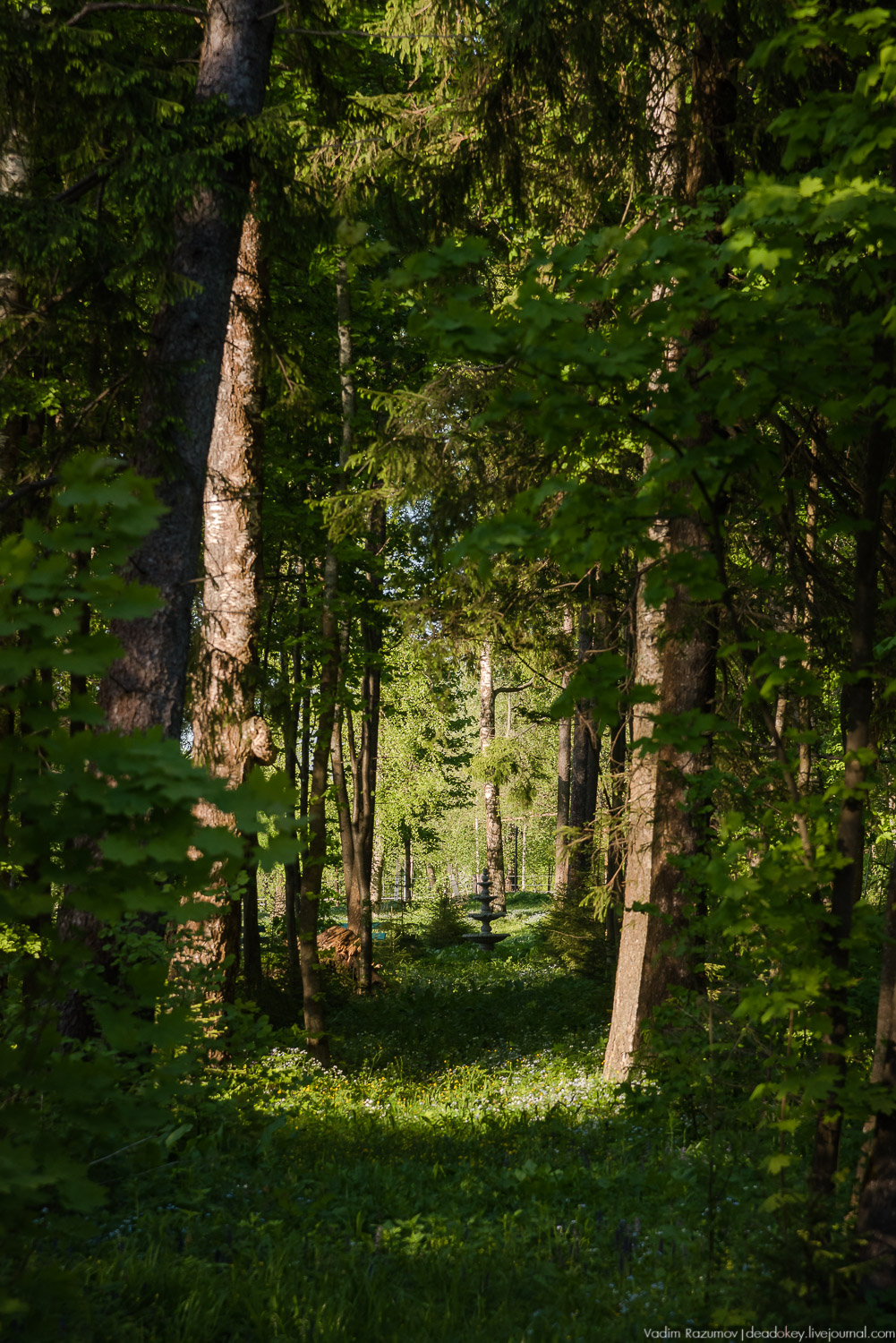 усадьба Воронино