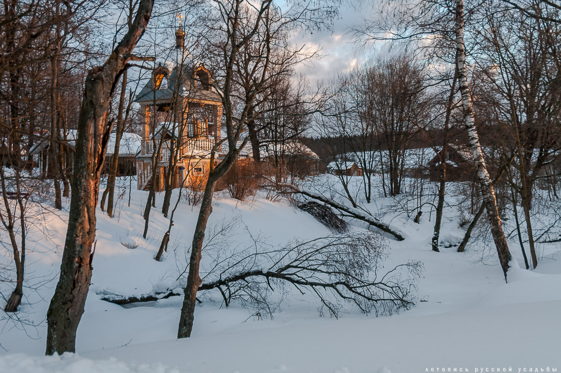 усадьба Мураново, выставка Король и красавицы