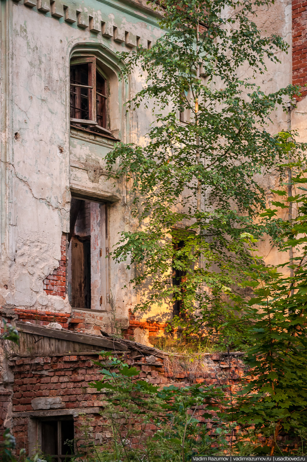 усадьба Колосово Пасхаловых, Тульская область, Алексинский район