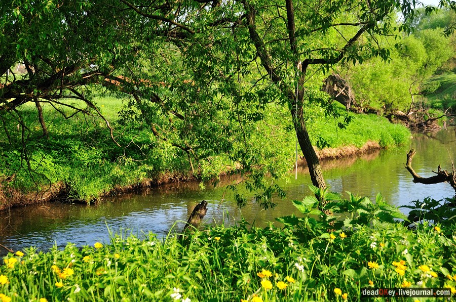 усадьба Прохорово